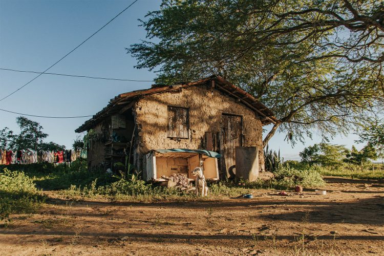 A Casa que Ficou
Antes da água, vieram as paredes de barro. A antiga casa de taipa, uma das únicas sobreviventes, talvez a única ainda em pé no município de Feira Nova, PE, na área rural popularmente conhecida como "A Barragem", agora depósito, guarda lembranças de tempos de fartura. Atla, o cão, segue firme no quintal, como sentinela da história que inicia nesse grande quintal.