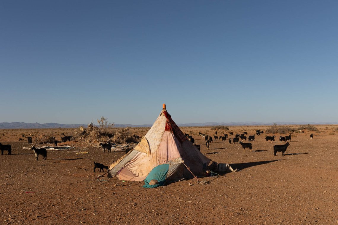 Grande Sertão – Marrocos