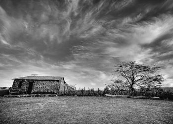As Coisas maravilhosas do Sertão