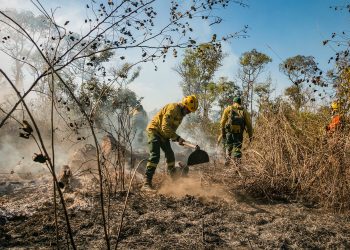 Pantanal em chamas: O combate silencioso