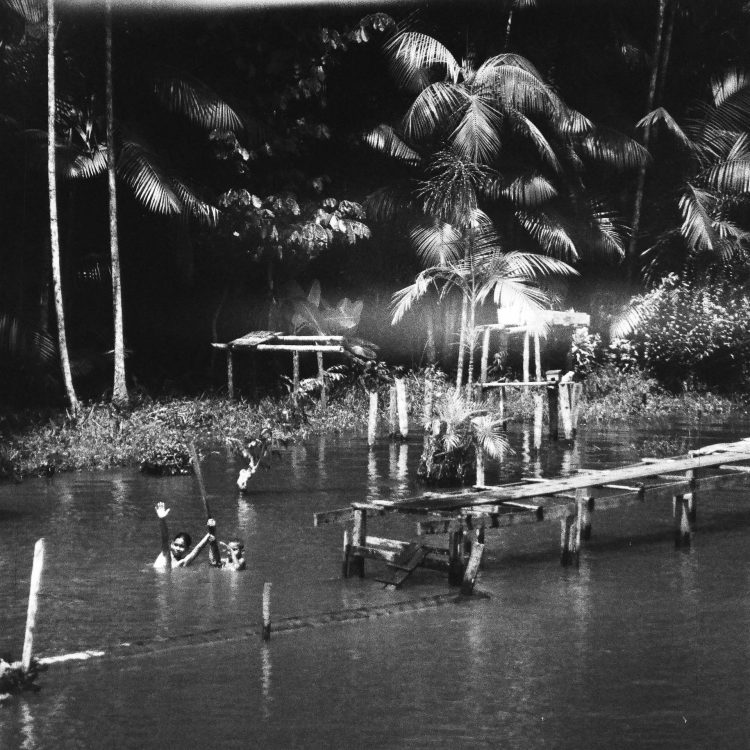 "O Pulso"
A vida na floresta amazônica gira em torno de seus cursos d'água, rios e canais que funcionam como rotas essenciais em uma região onde a vegetação densa torna quase impossível o deslocamento por terra. Crianças remam até a escola em canoas de madeira, e os barcos de linha transportam pessoas e mercadorias até as cidades ribeirinhas.
As "Comunidades Ribeirinhas" são comunidades tradicionais que vivem ao longo desses rios em áreas remotas do Brasil. Vivendo em harmonia com os ritmos da água, suas casas são construídas sobre pilares, já que os níveis dos rios amazônicos variam drasticamente, em média, 11 metros entre a estação seca e a cheia. Com a floresta submersa, as crianças aprendem desde cedo a manobrar canoas, confiando no rio como principal meio de transporte.