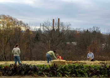 Dilmun Hill: Fazenda estudantil