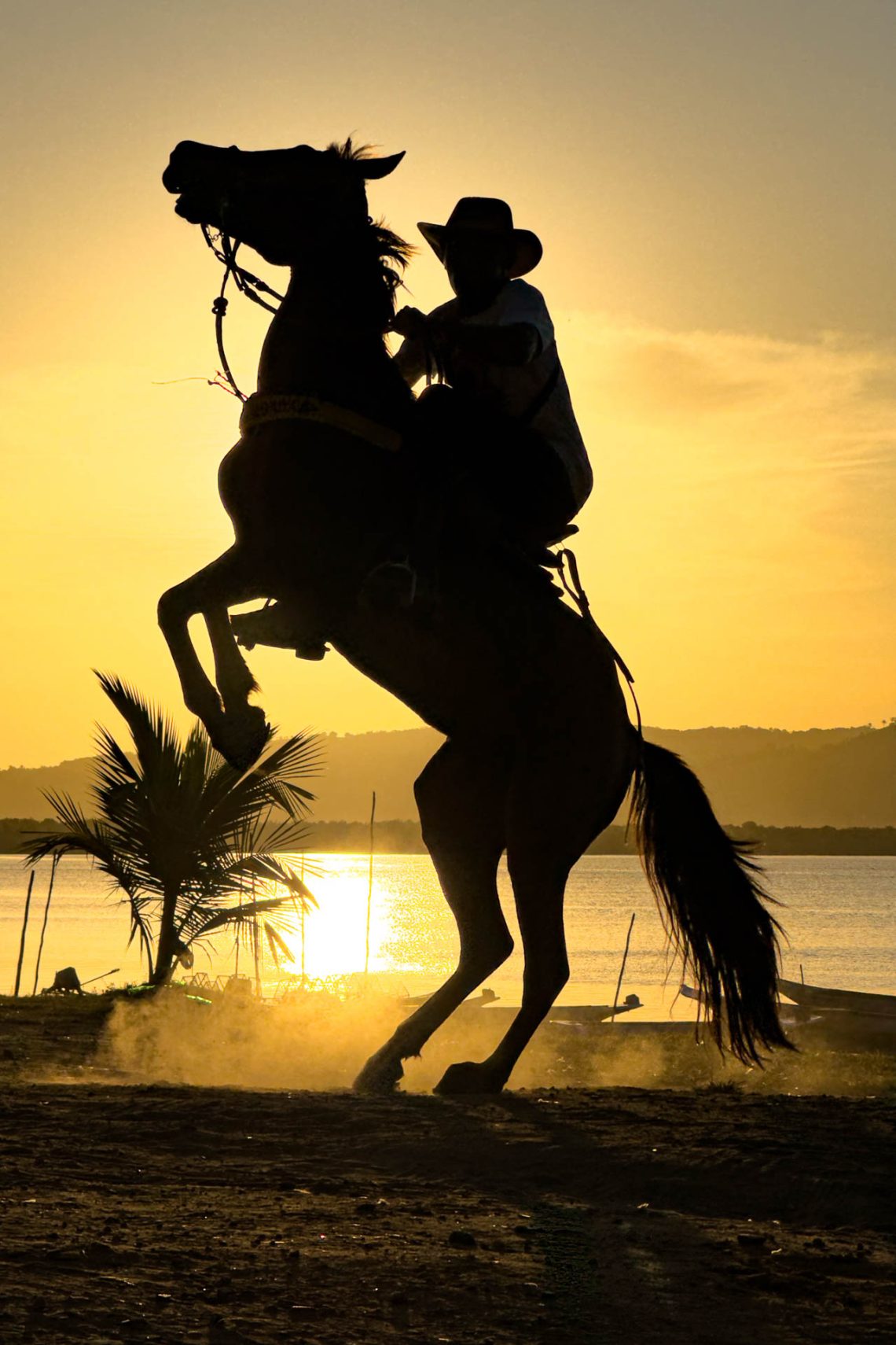 O Cavalo e seu Cavaleiro