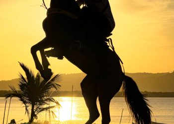 O Cavalo e seu Cavaleiro