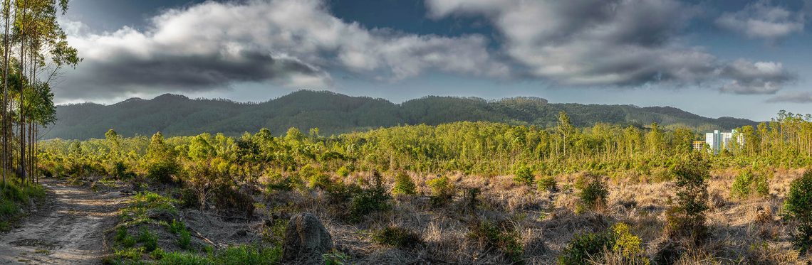 Três temporalidades