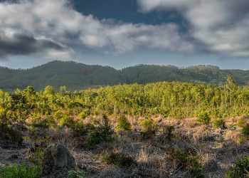 Três temporalidades
