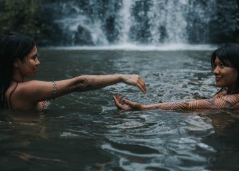 Ka’agüy reko – Raiz da Floresta