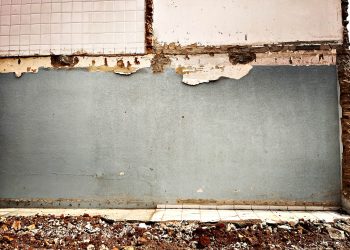 cicatrizes da memória