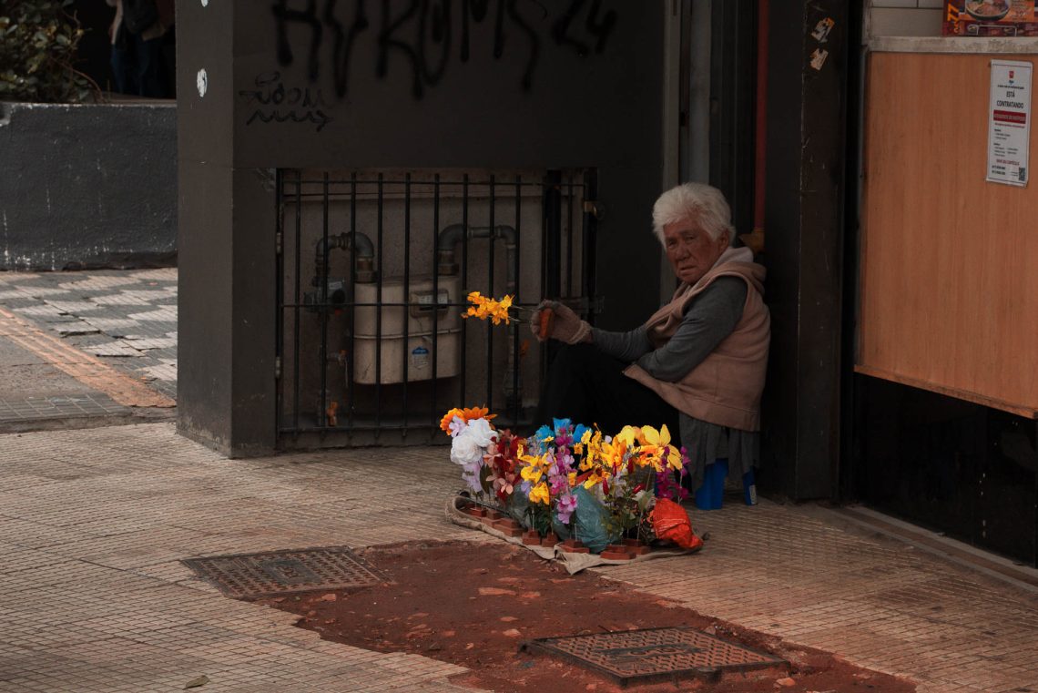 A vendedora de flores