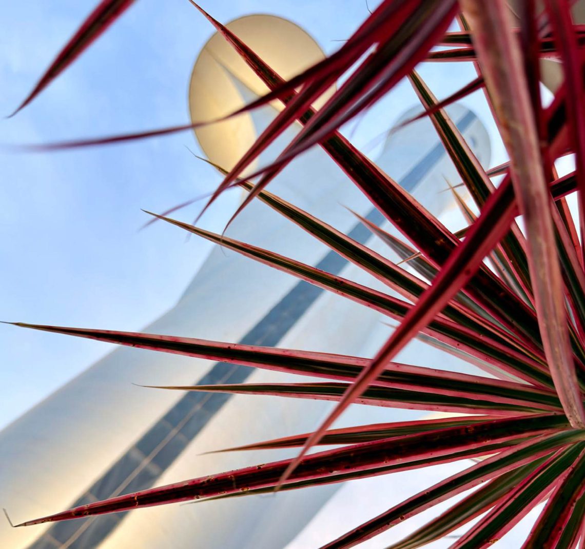 Brasília Sob Molduras