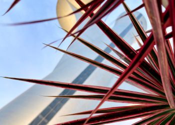 Brasília Sob Molduras