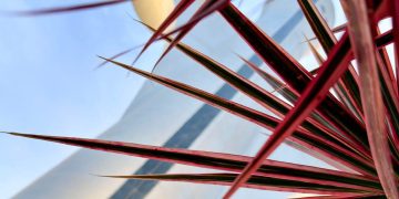 Brasília Sob Molduras