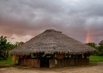As cores na Amazônia