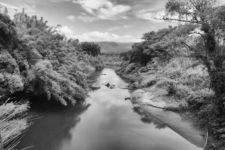 Rio Branco em longa exposição, conectando floresta e montanhas da Serra do Mar.