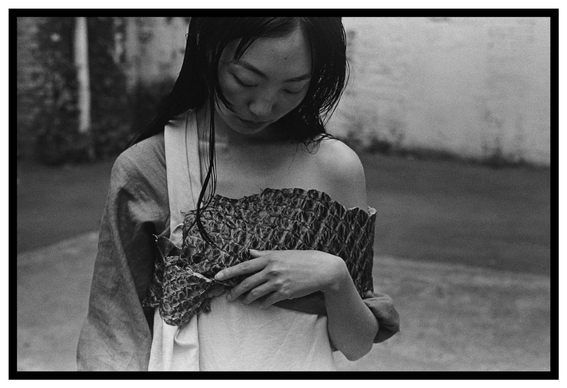 Renascimento em cinzas