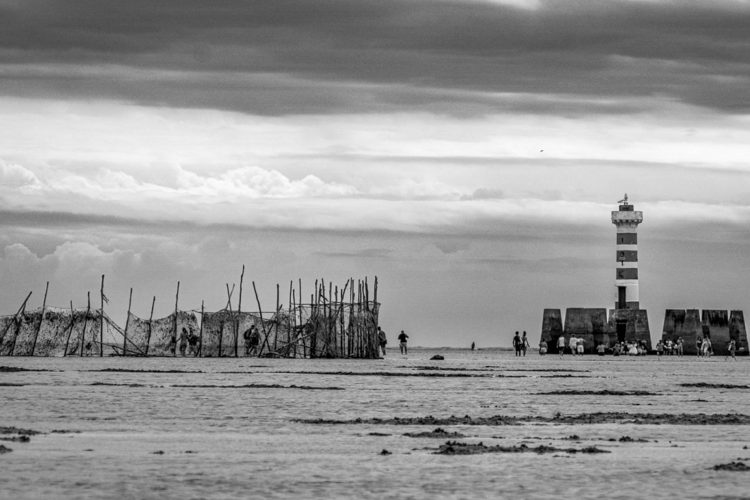 O Farol e o Curral
Quando o mar recua, o território dos curralistas aparece — cenário e sustento de gerações.