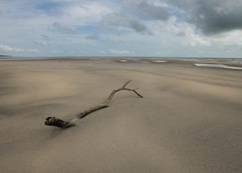 Ilha de Marajó, entre marés