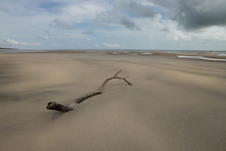 Território em Suspensão - Soure, Ilha de Marajó - 2025