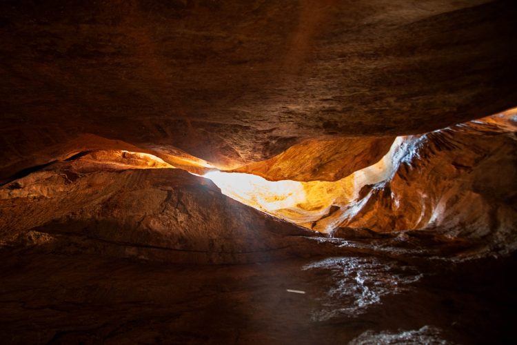 Muitos Brasis - Canios do Viana-PI, 2025
O Brasil se revela em camadas. Entre a sombra e a luz, o território já anuncia sua pluralidade de formas, tempos e paisagens.