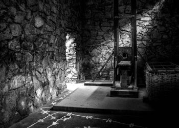 BORDER·line — Cicatrizes do Silêncio