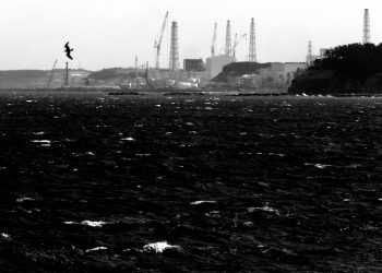 Silent Witnesses: Landscapes as Archives of Fukushima (2011–2026)