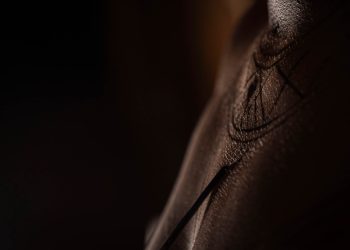 El trazo del tiempo: entre el pasado y el futuro de los pueblos que resisten