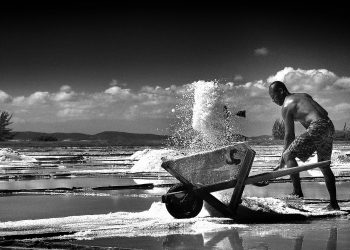 Salinas e Salineiros