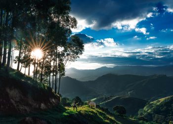 Interlocuções ambientais