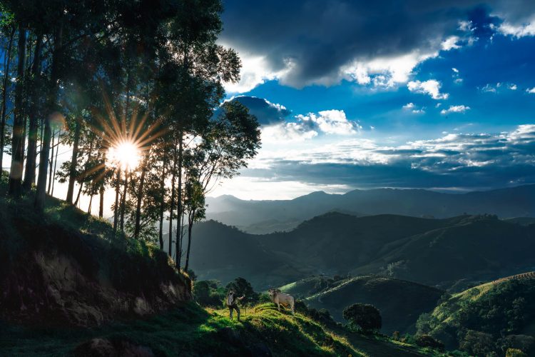 BOA TARDE, SENHOR BOI
Andradas/MG, 2025
Parceria com Caio Boteghim