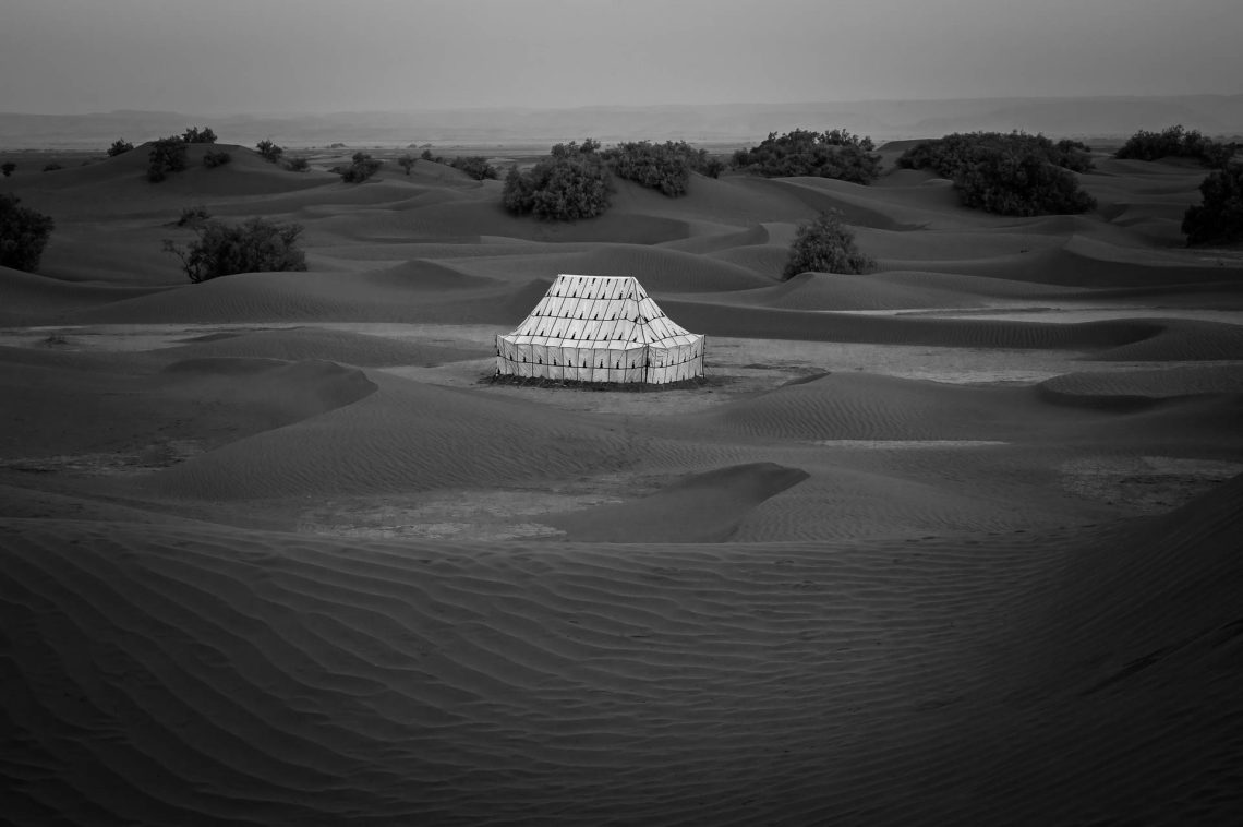 The Guardians of the Desert