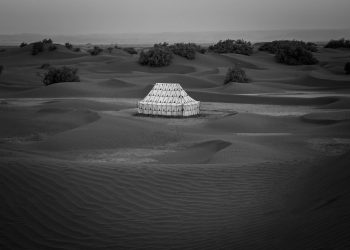 The Guardians of the Desert