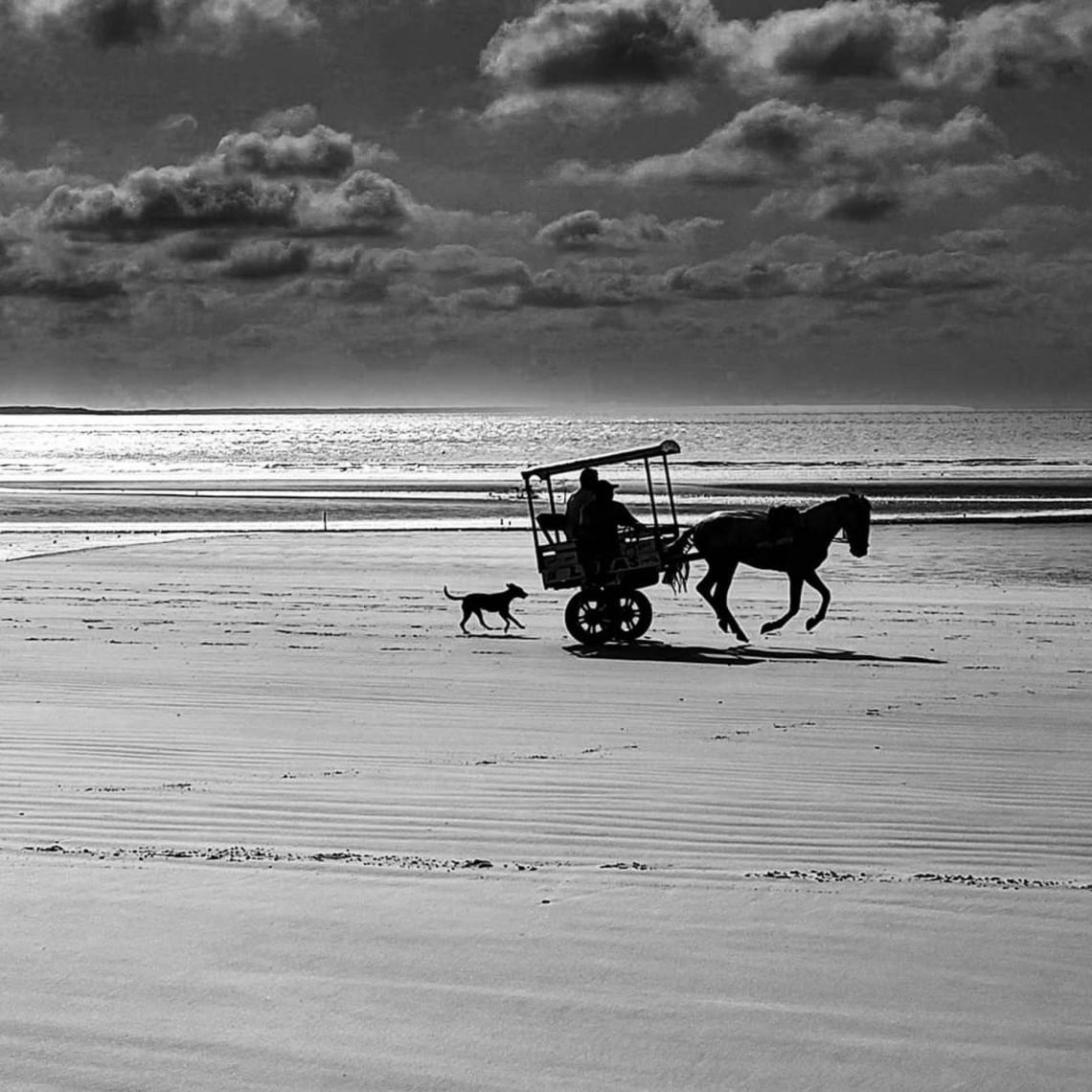 Um rural que mora em mim
