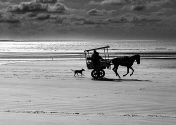 Um rural que mora em mim
