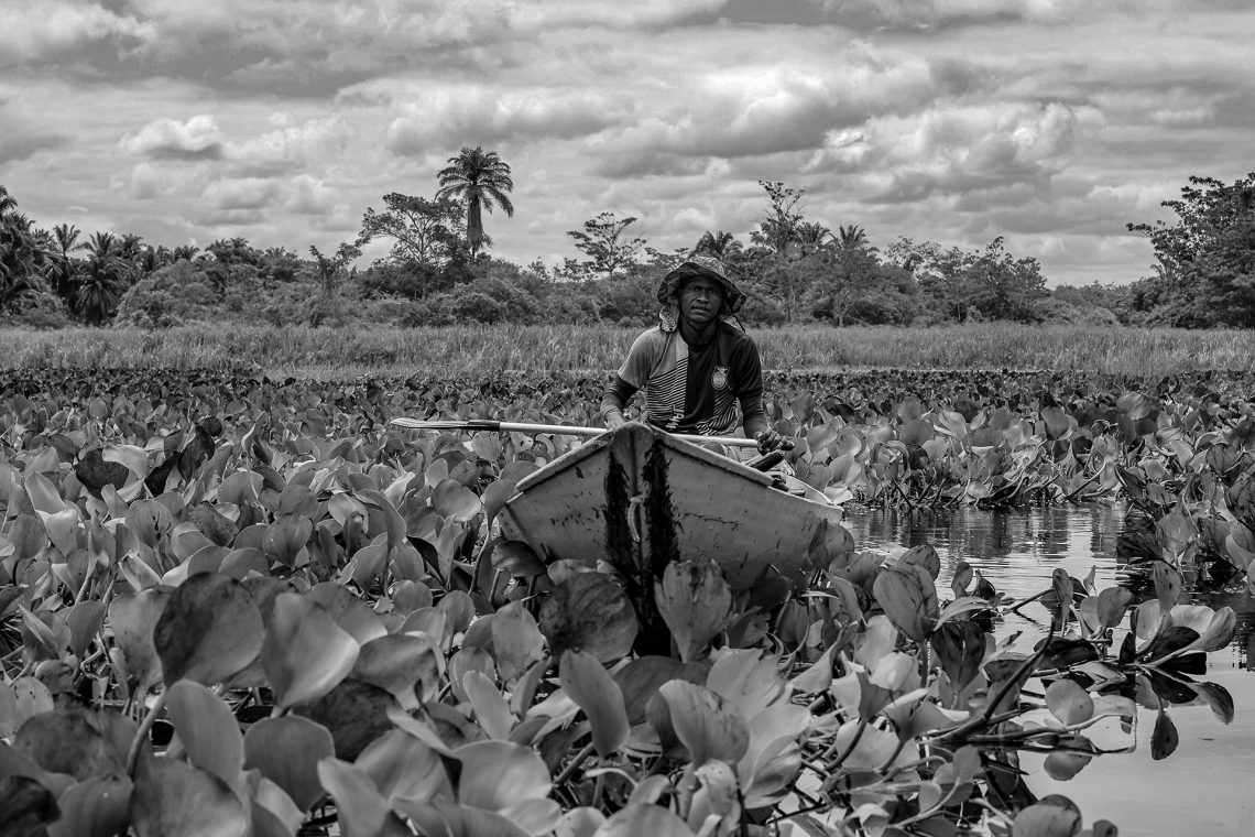 Nas travessas do Marimbus