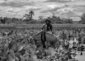 Nas travessas do Marimbus
