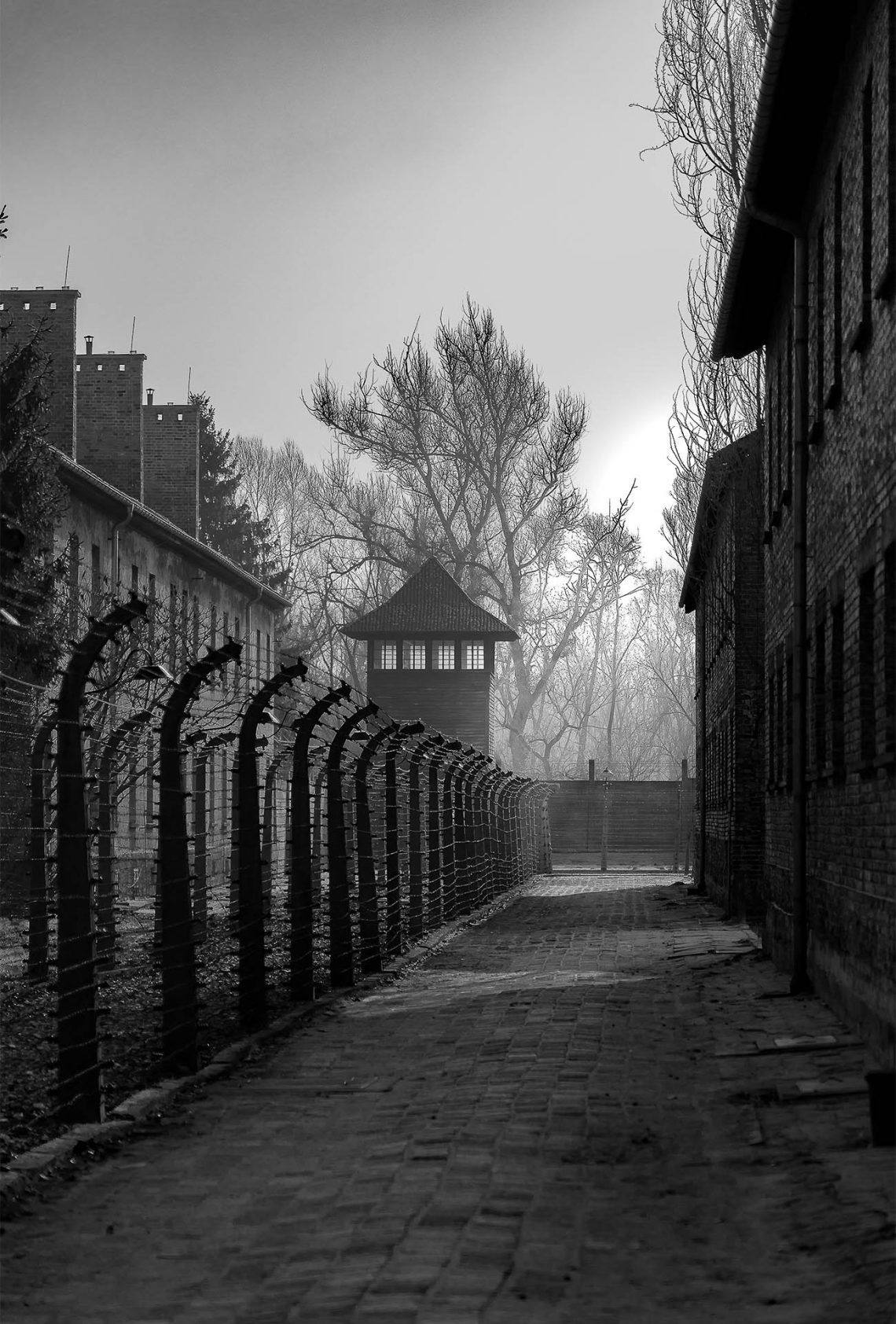 O Eco do Silêncio: O Dever da Memória