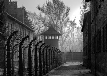 O Eco do Silêncio: O Dever da Memória