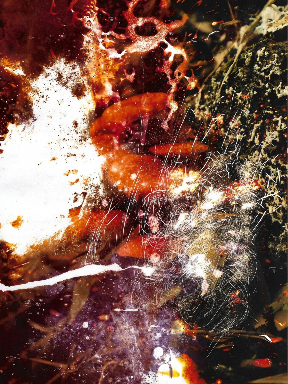 Corrói, mas não corrompe