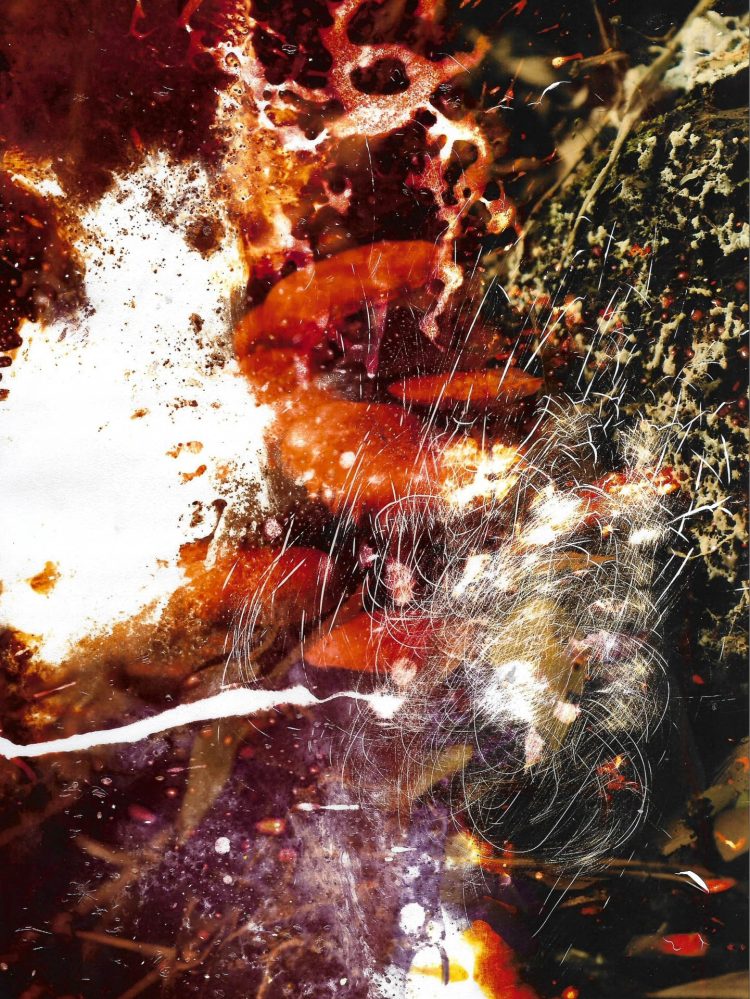 Fotografia colorida revelada sobre papel fotográfico e passada pelo processo de intervenção química com água sanitária + vinho tinto + molho de pimenta + intervenção mecânica com palha de aço + ferro de passar + fogo + palito de dentes.