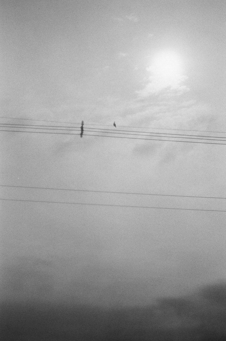 Linhas de transmissão.
O céu do interior do Paraná, atravessado pela infraestrutura do escoamento. A terra ainda não aparece.