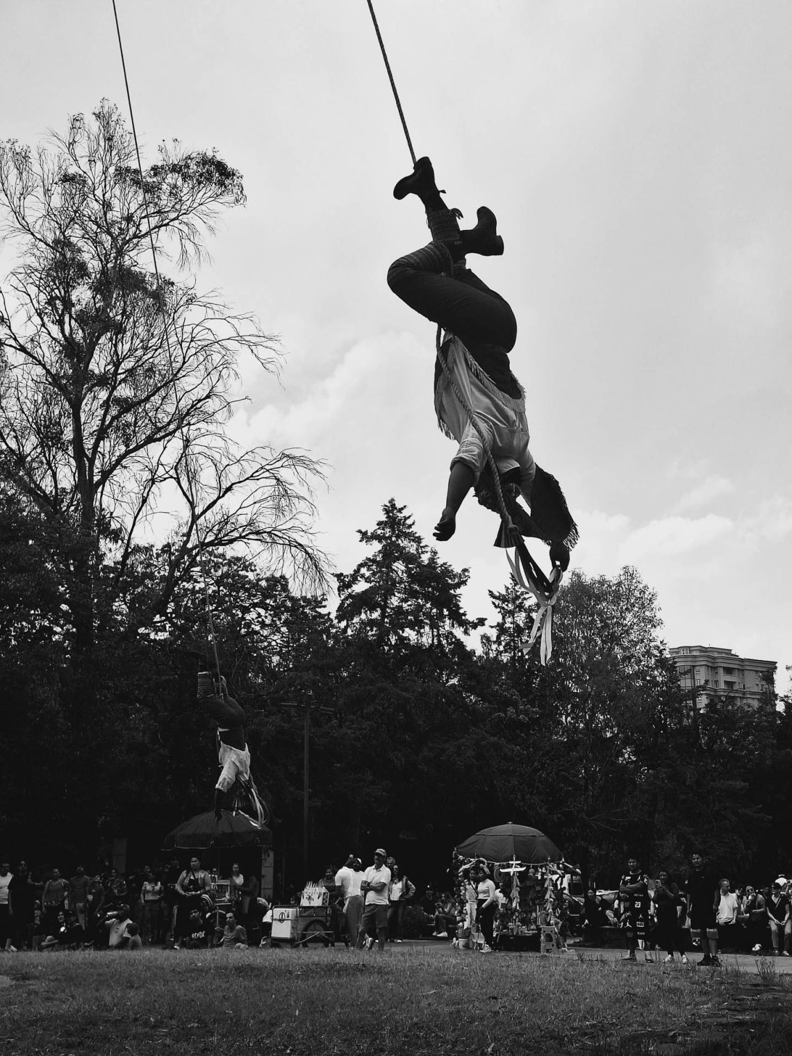 El volador de la Ciudad