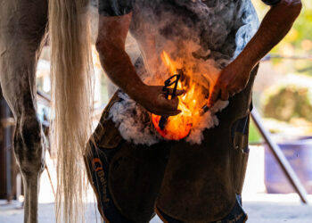 O Trabalho de um Ferrador